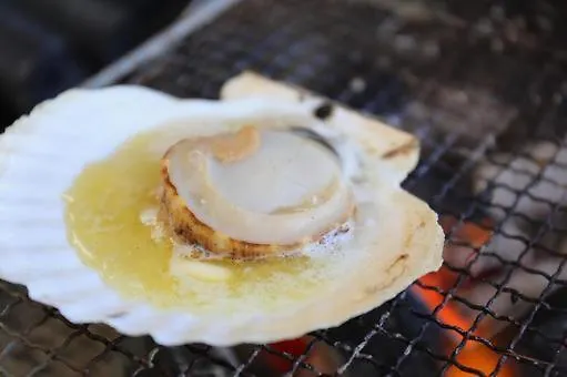 旅館 ホテル Spr綱城荘神恵内 神恵内村
